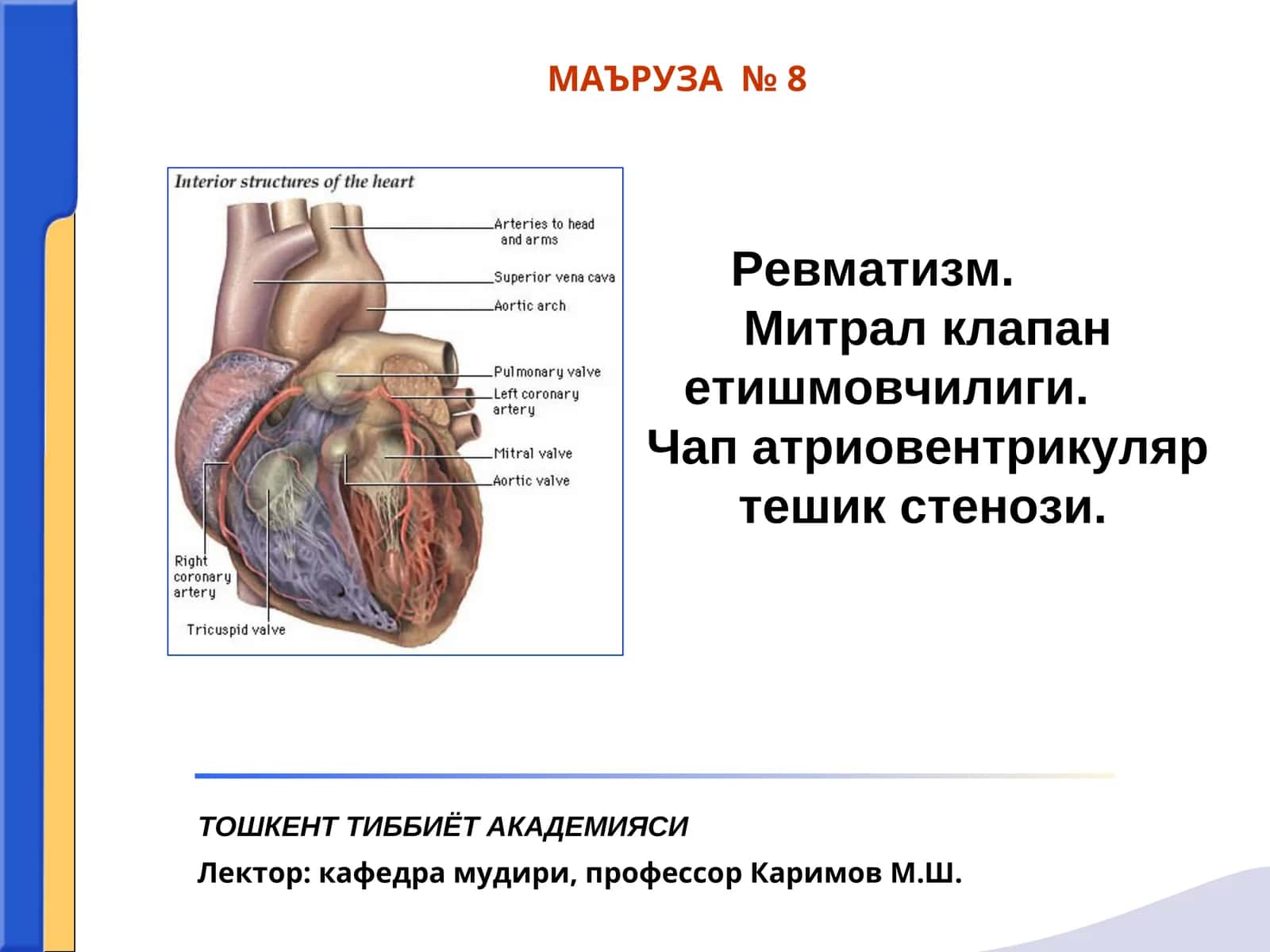 Ревматизм (Сокольский-Буйо касаллиги) 1
