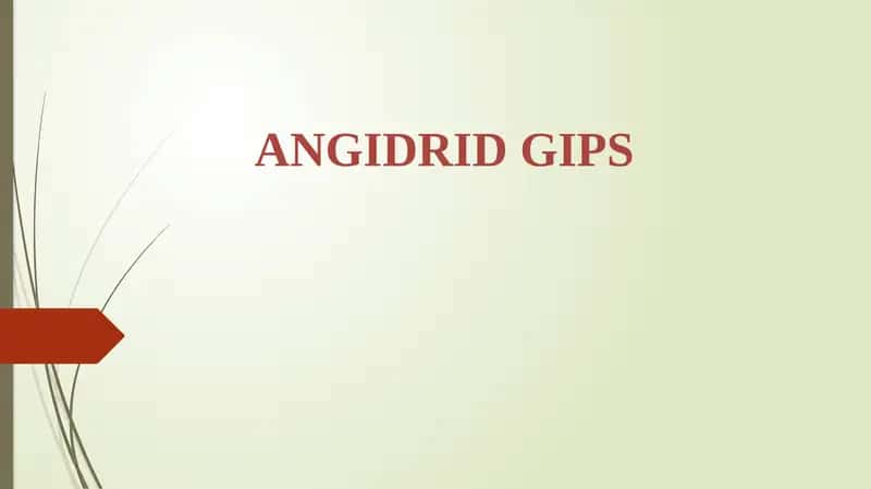 Angidrid gips 1