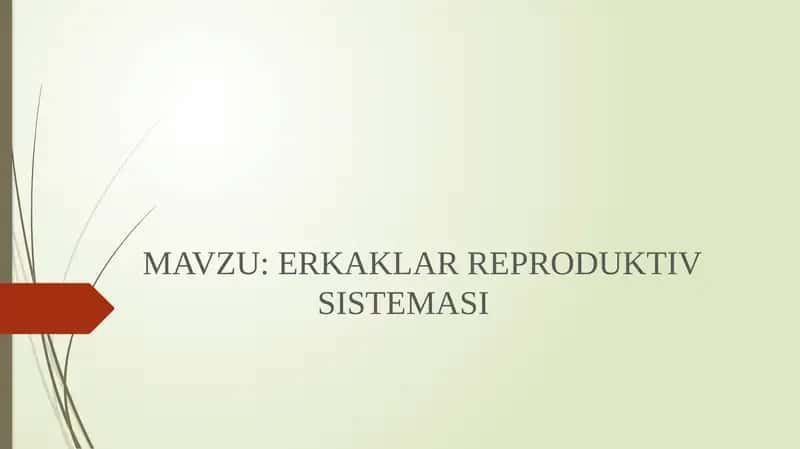 ERKAKLAR REPRODUKTIV SISTEMASI 1