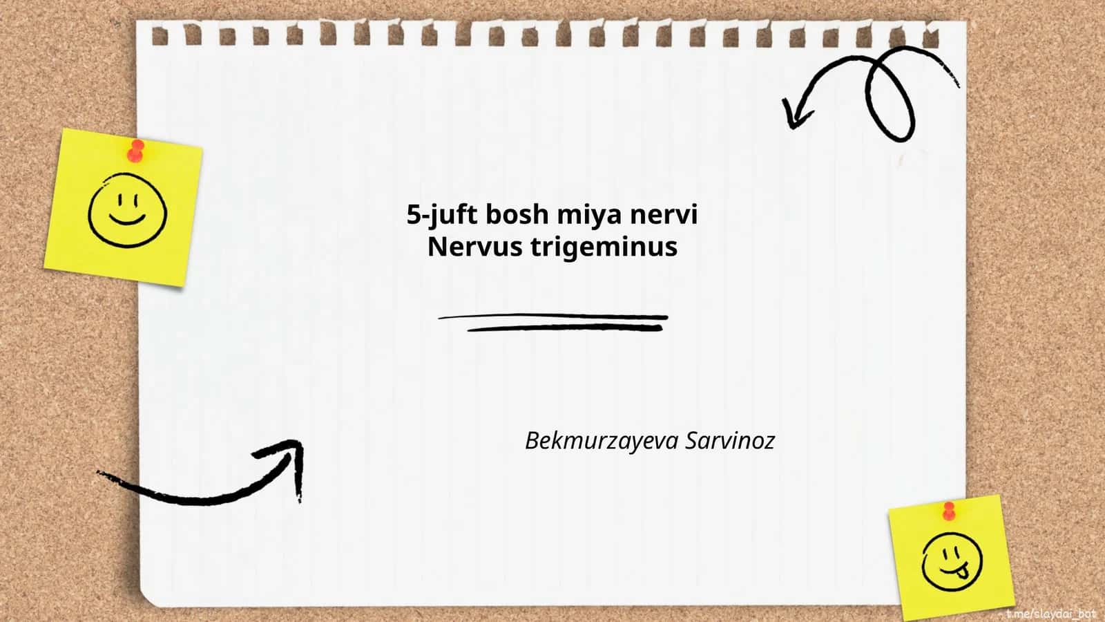 Nervus trigeminus anatomiyasi 1