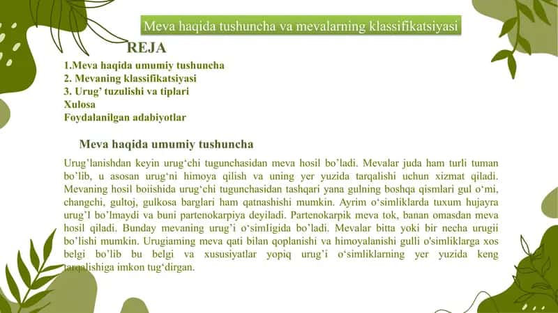 Meva 1