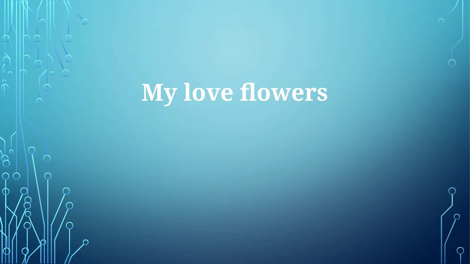 My love flowers 1