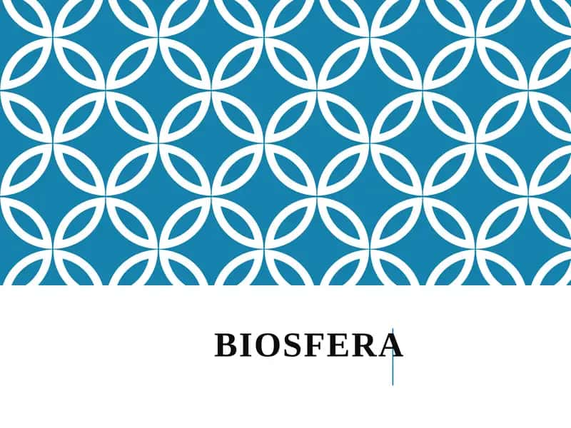 BIOSFERA 1