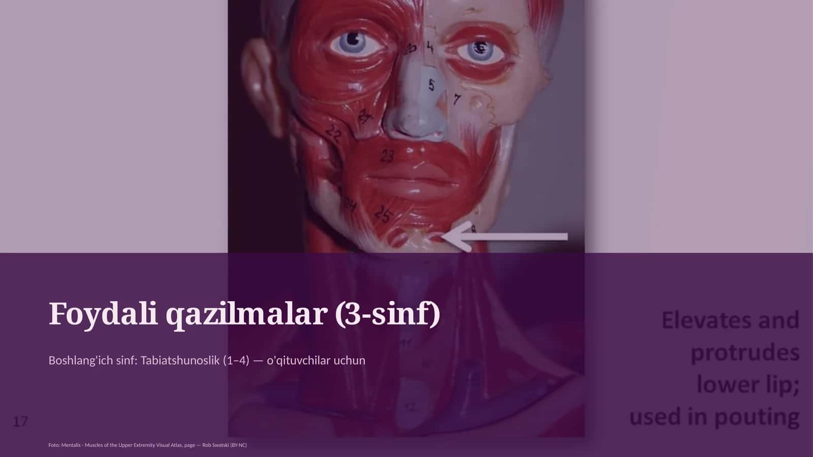 Tabiatshunoslik 1