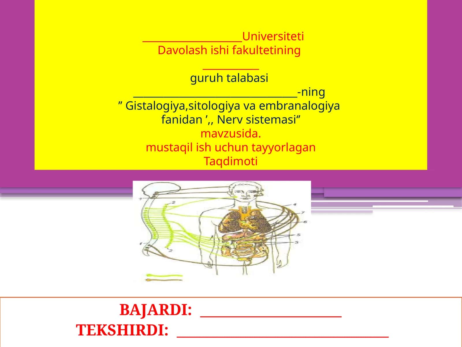 Nervsistemasi 1