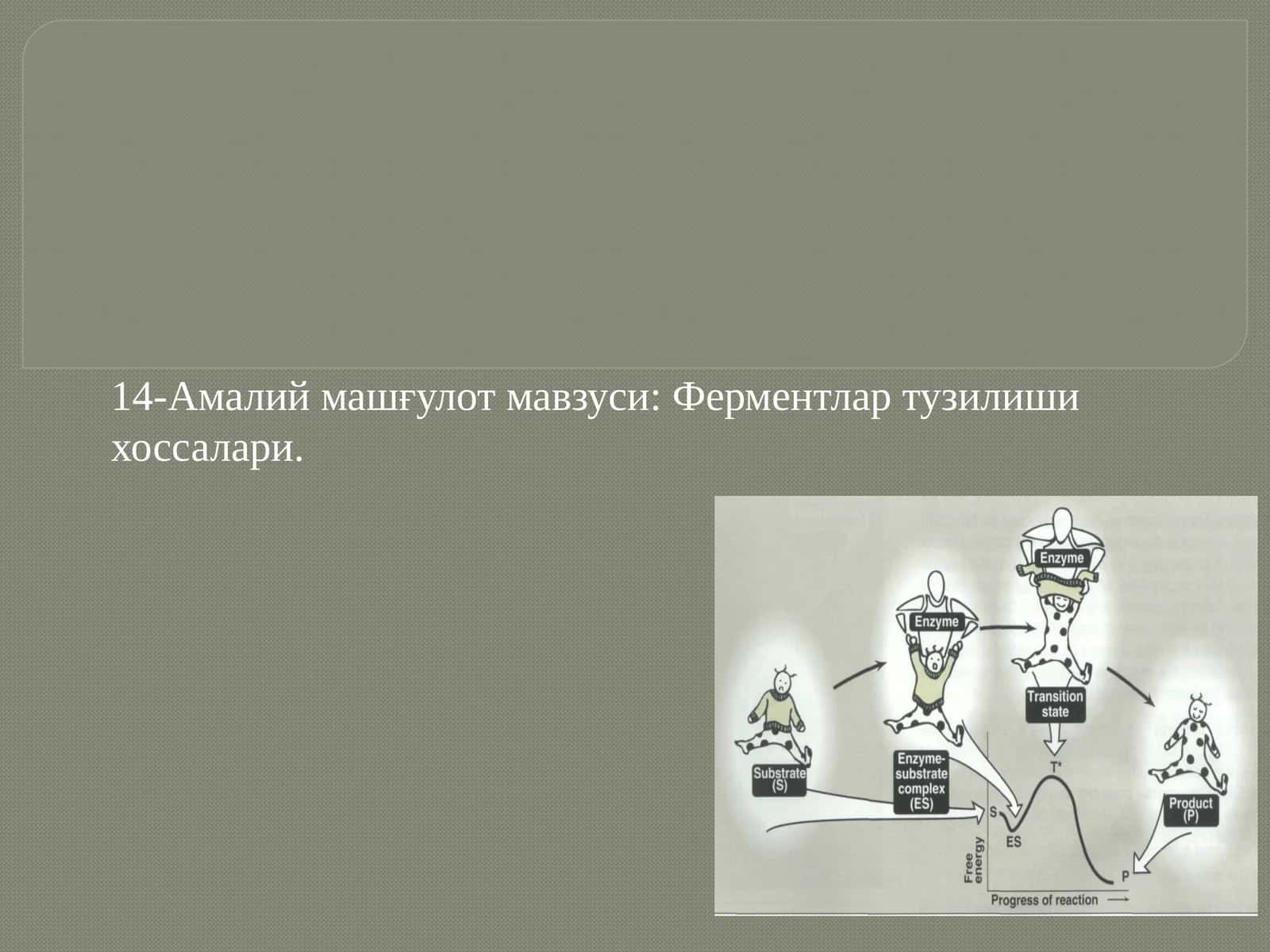 Ферментлар тузилиши хоссалари 1