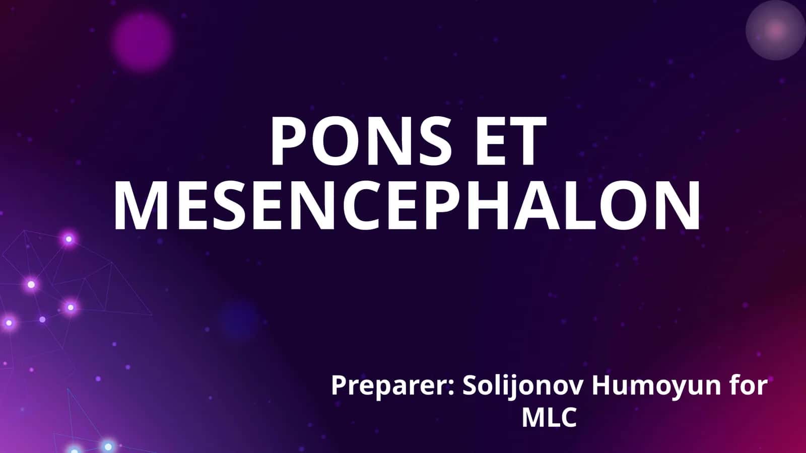 PONS ET MESENCEPHALON 1