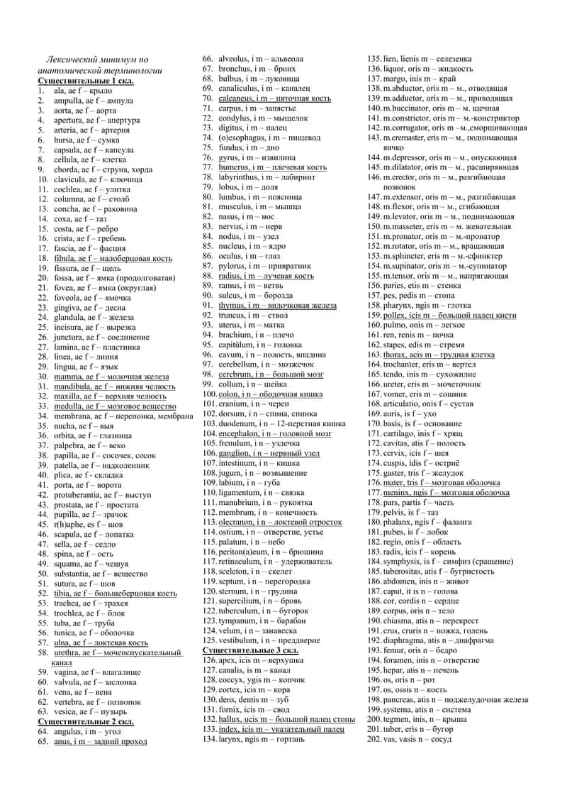 Лексический минимум по анатомической терминологии 1