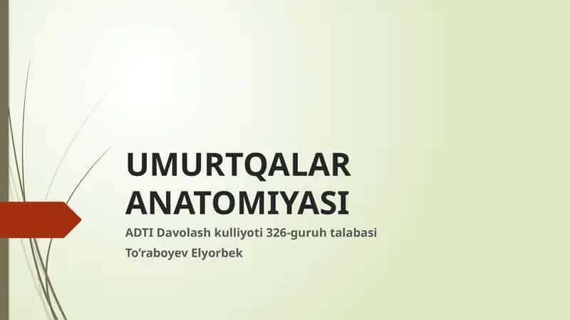 UMURTQALAR ANATOMIYASI 1