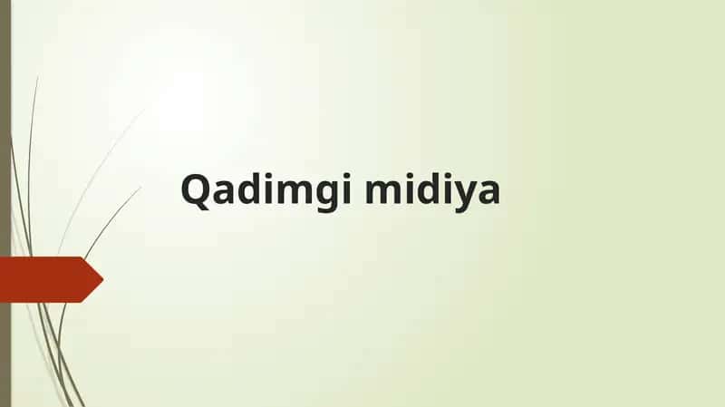 Qadimgi Midiya 1