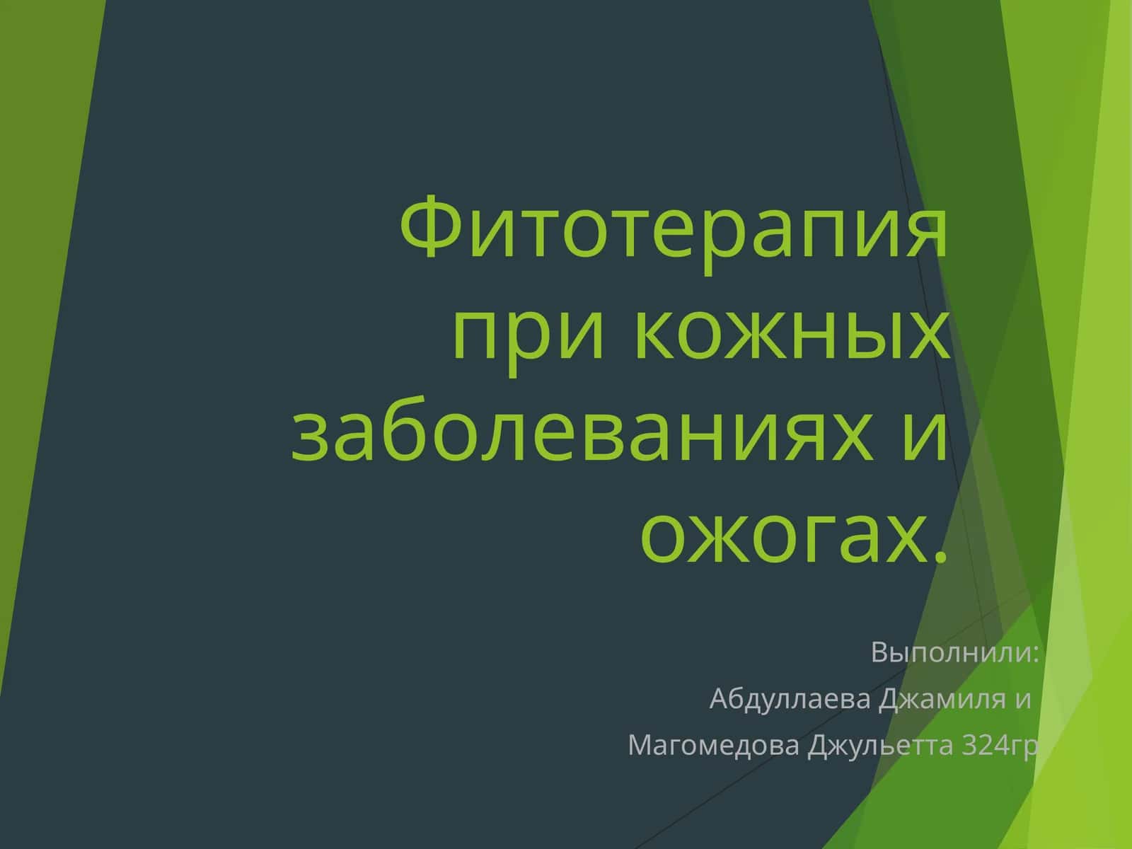 Ожоглар ва тери касалликларида фитотерапия 1