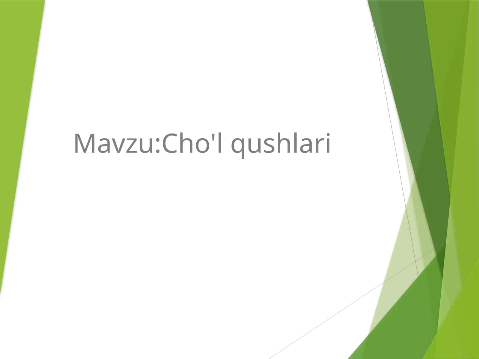 Cho'lqushlari 1