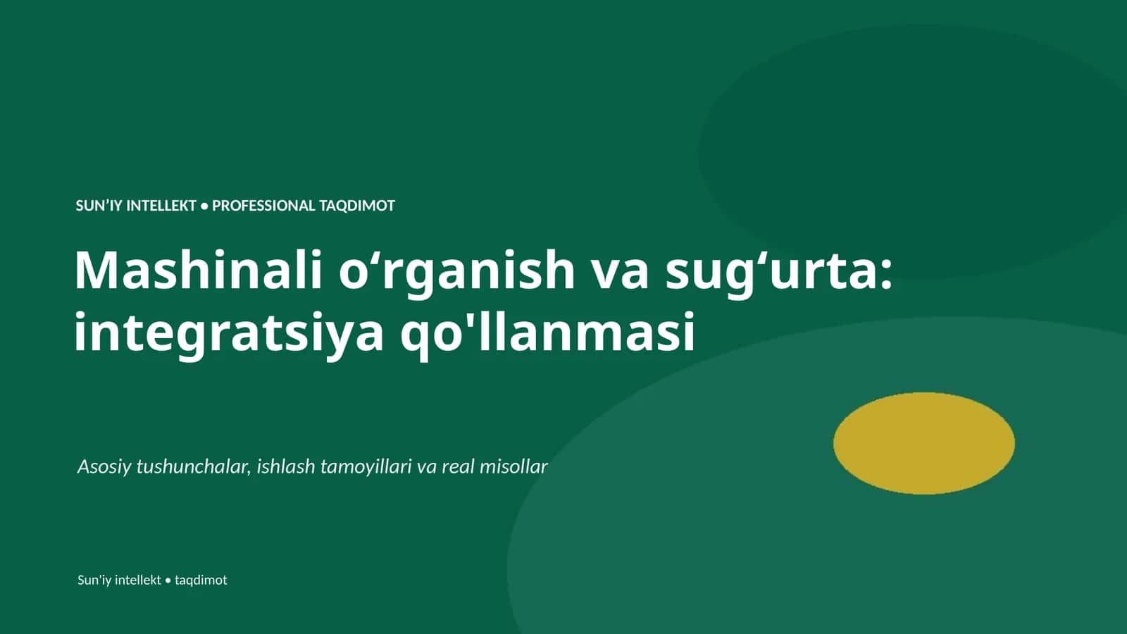 Mashinali oʻrganish va sugʻurta: integratsiya qo'llanmasi 1