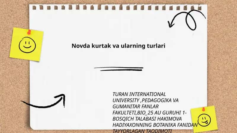 Novda kurtak va ularning turlari 1