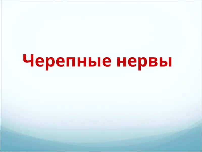 Черепные нервы 1