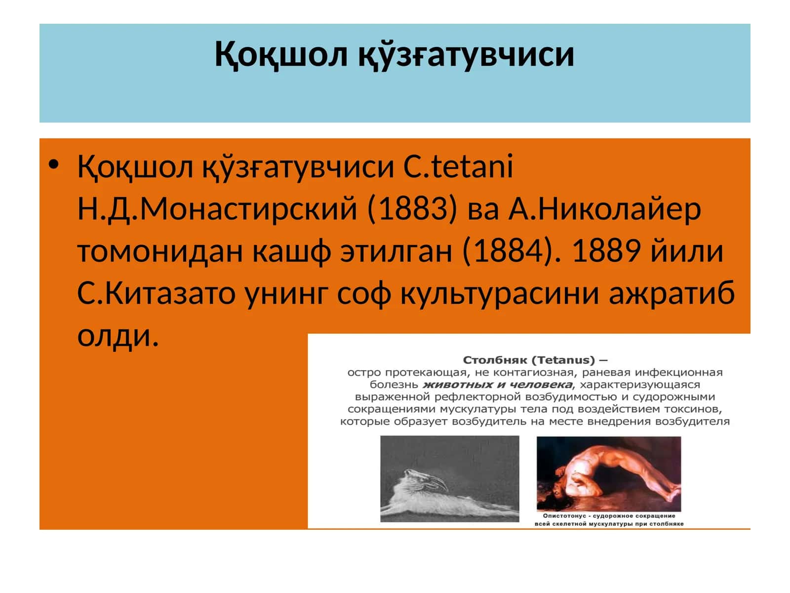 Қоқшолқўзғатувчиси 1