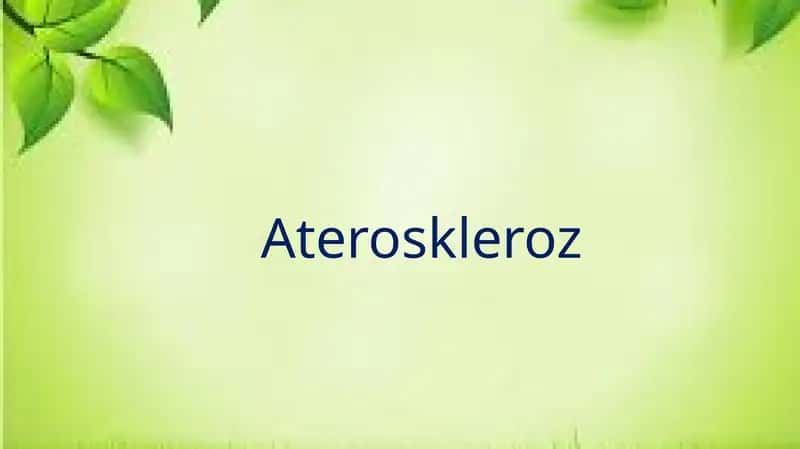 Ateroskleroz 1