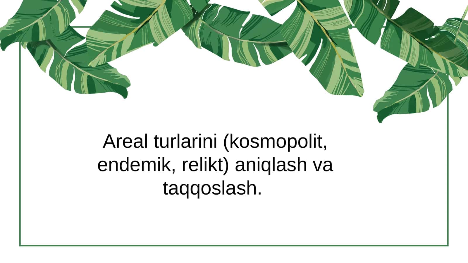 Mustaqil ishi 1