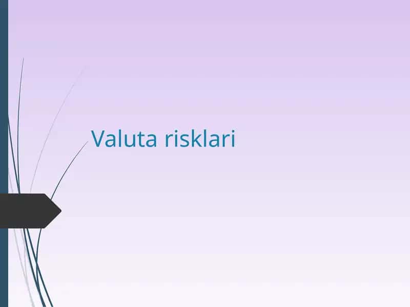 Valuta risklari 1