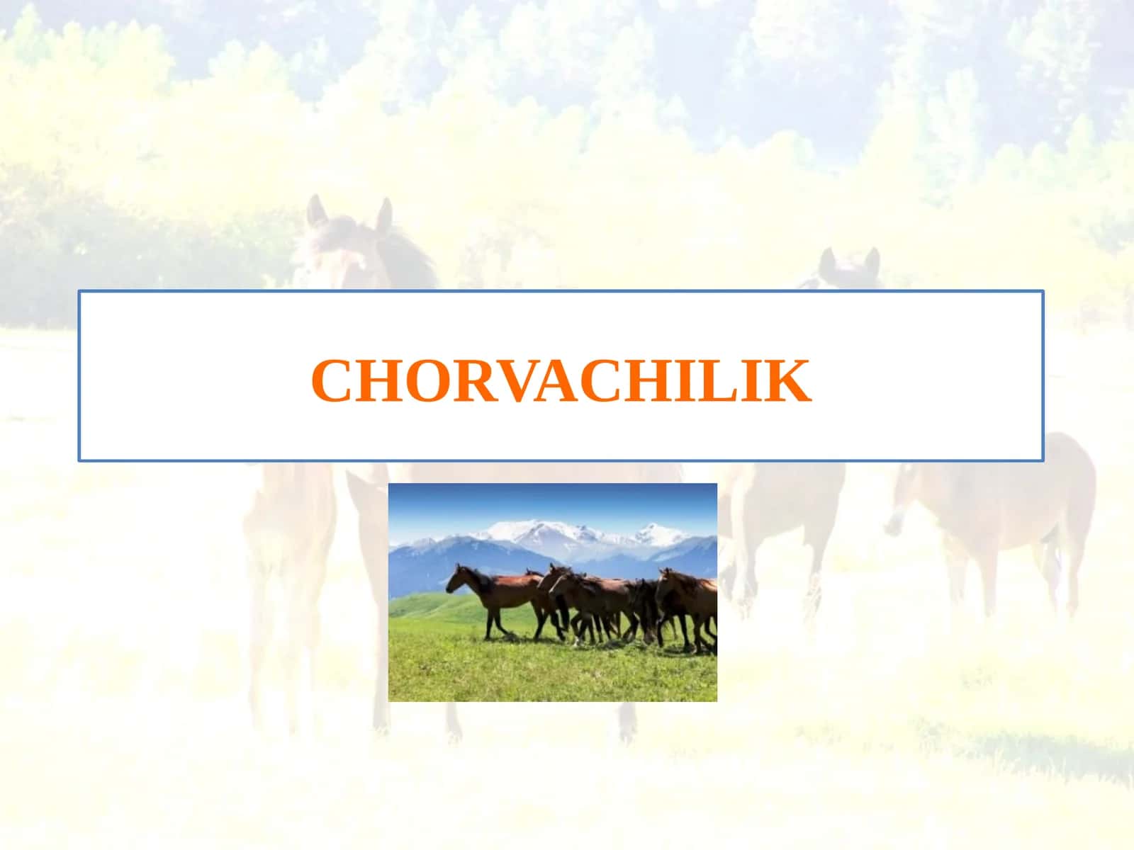 CHORVACHILIK 1