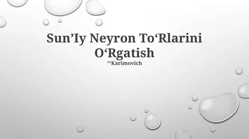Sun’Iy Neyron To‘Rlarini O‘Rgatish 1