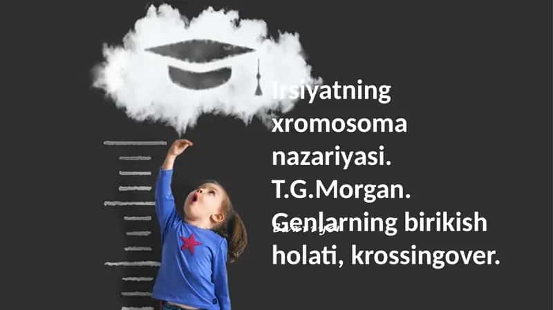 Xromosomalar Nazariyasi 1