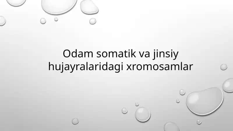 Odam somatik va jinsiy hujayralaridagi xromosamlar 1