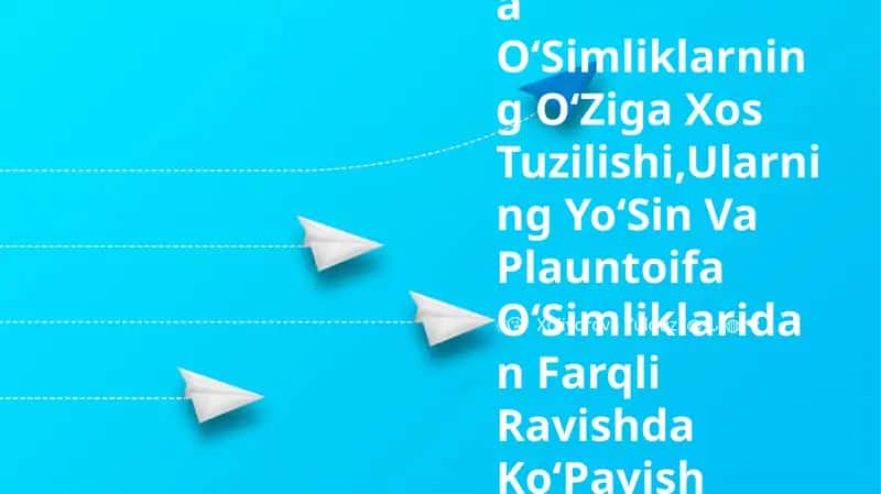 Urug'li o'simliklar 1