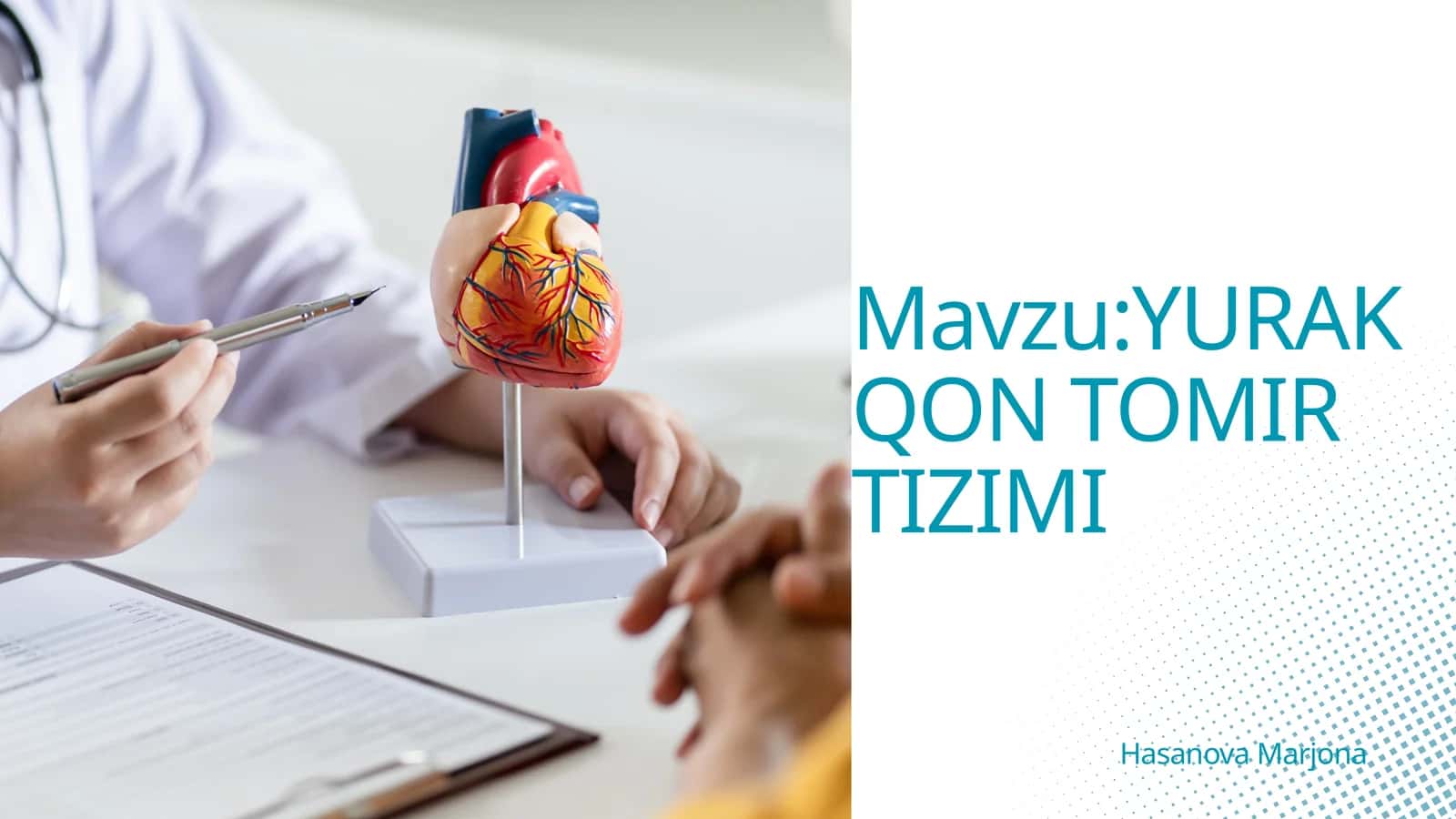 YURAK QON TOMIR TIZIMI 1