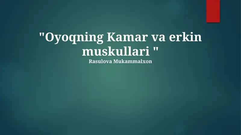 Oyoqning Kamar va erkin muskullari 1