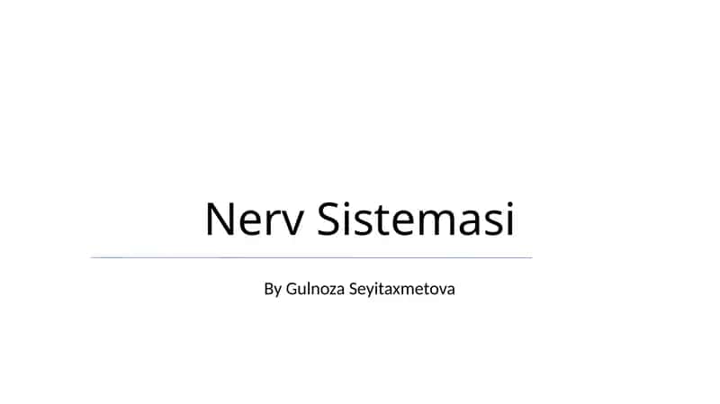 Nerv Sistemasi 1