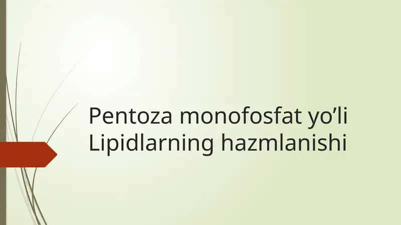 Pentoza monofosfat yo’li Lipidlarning hazmlanishi 1