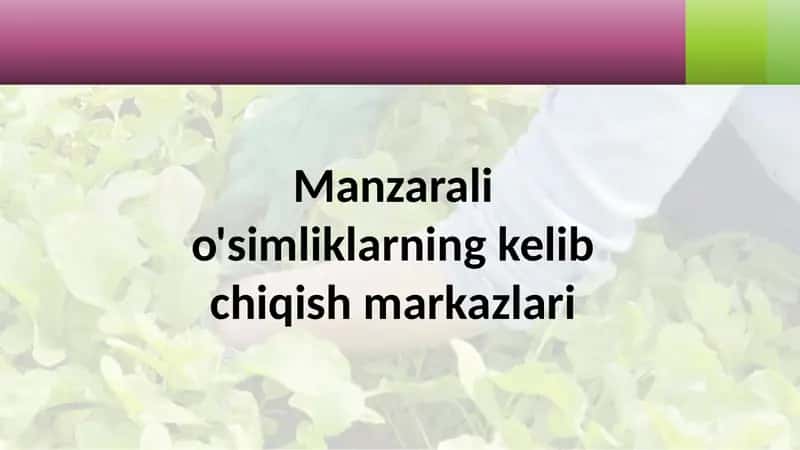 Manzarali o'simliklarning kelib chiqish markazlari 1