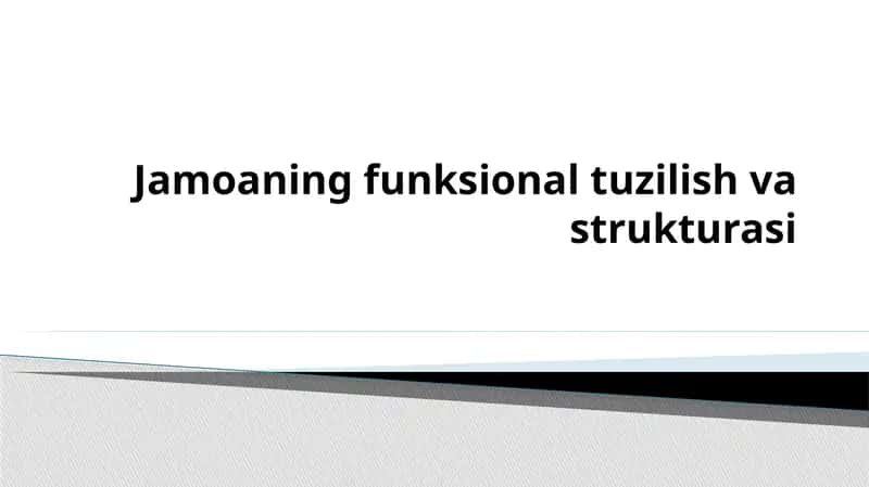 Jamoaning funksional tuzilish va strukturasi 1