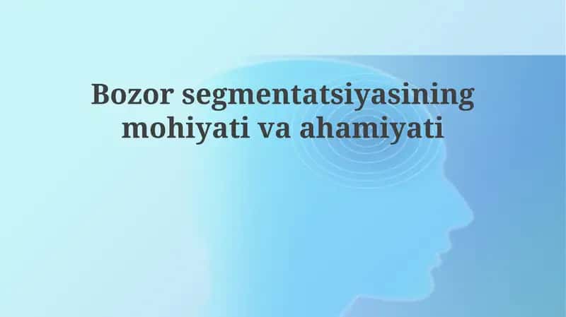 Bozor segmentatsiyasi 1