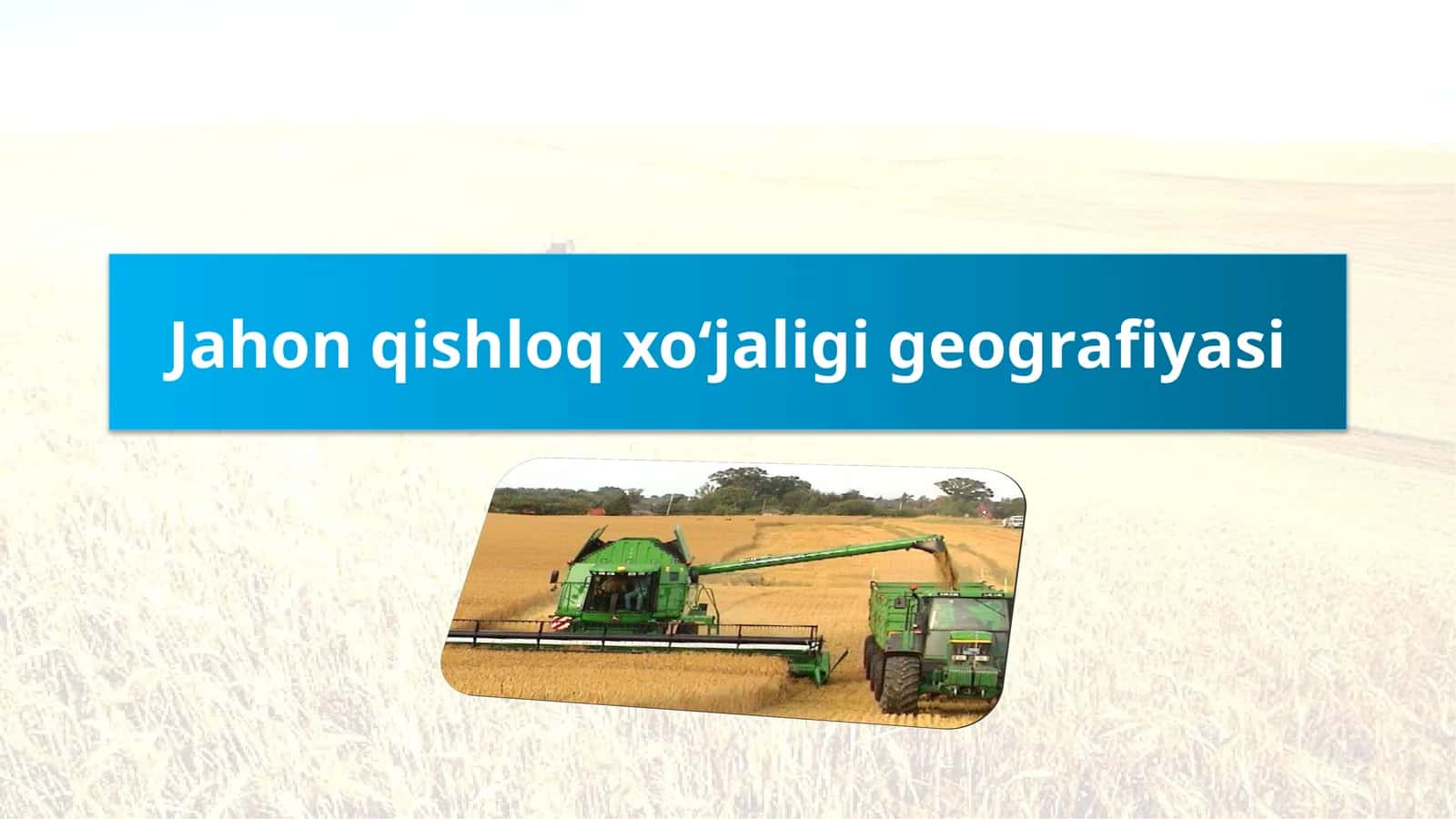 Qishloqxo‘jaligi 1