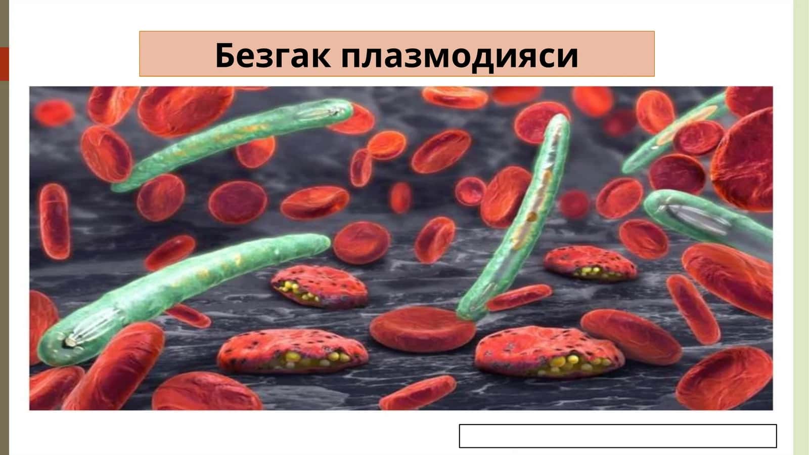 Безгакплазмодияси 1