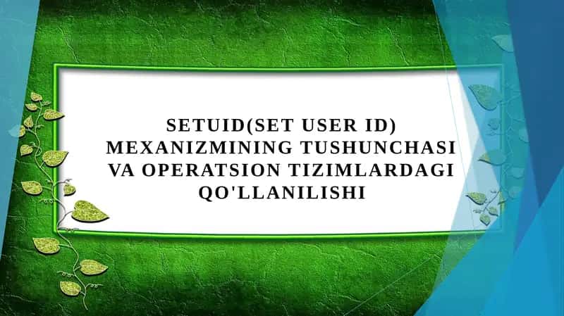 Setuid(Set User ID) mexanizmining tushunchasi va operatsion tizimlardagi qo'llanilishi. 1