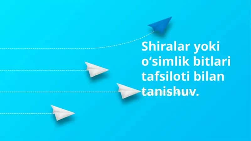 Shiralarga Qarshi Kurash Usullari 1