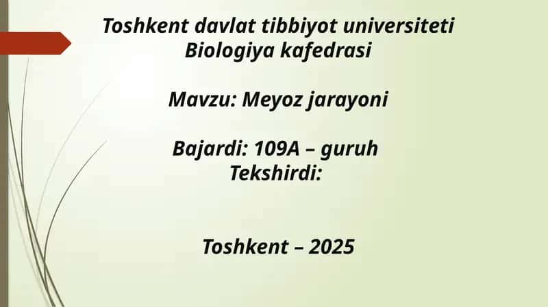 Meyoz jarayoni 1