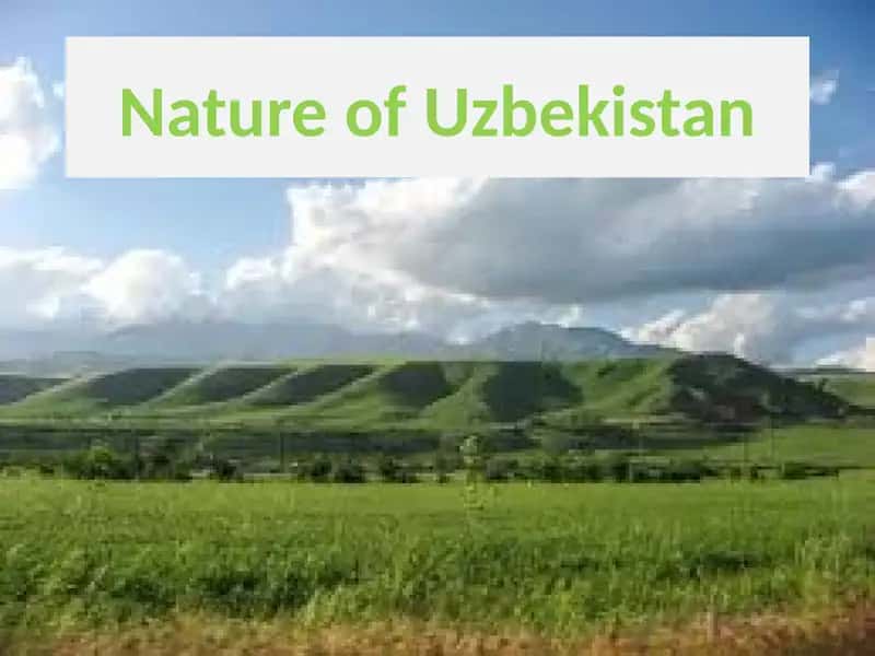 Nature of Uzbekistan 1