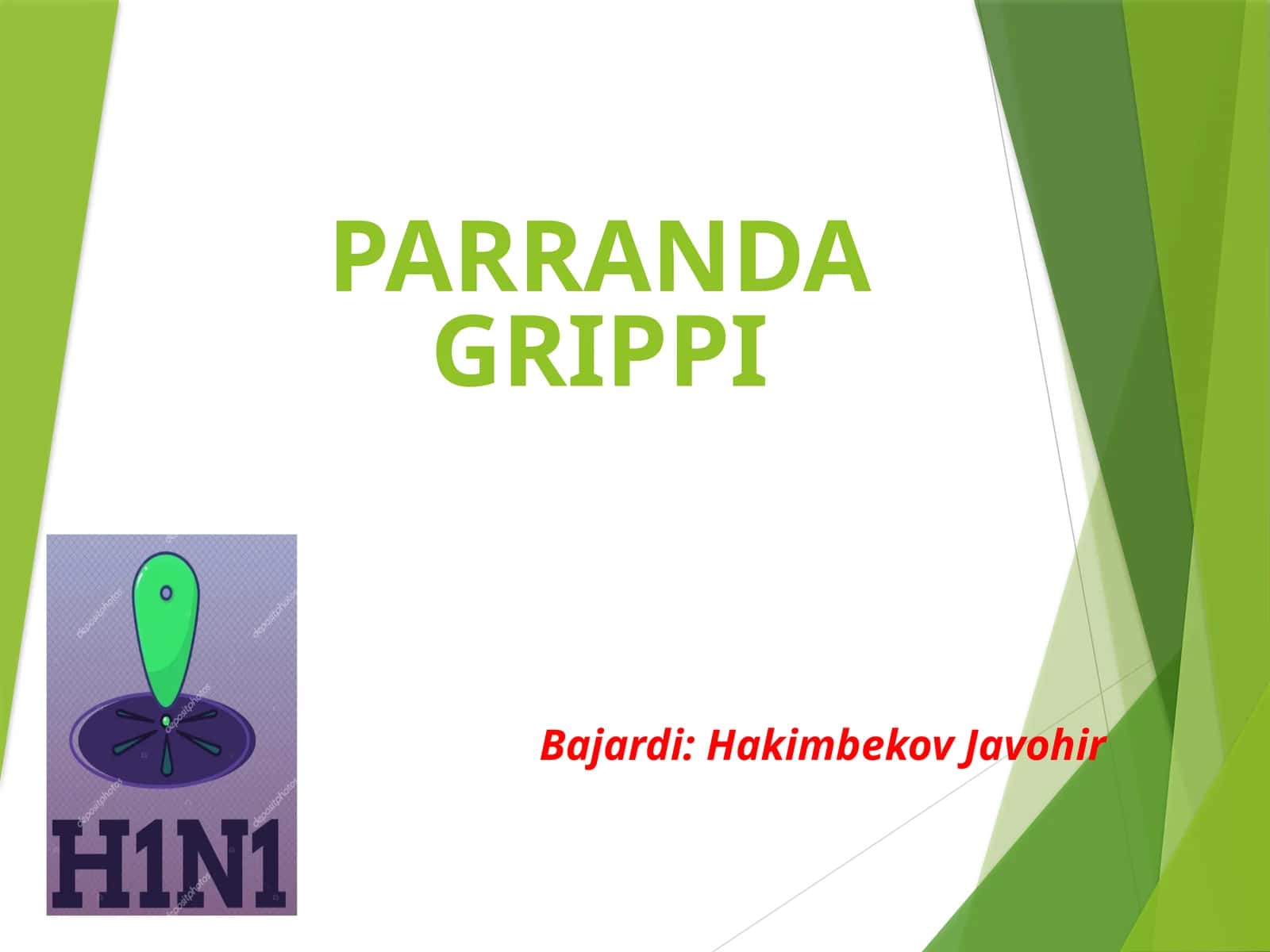 Parranda grippi 1