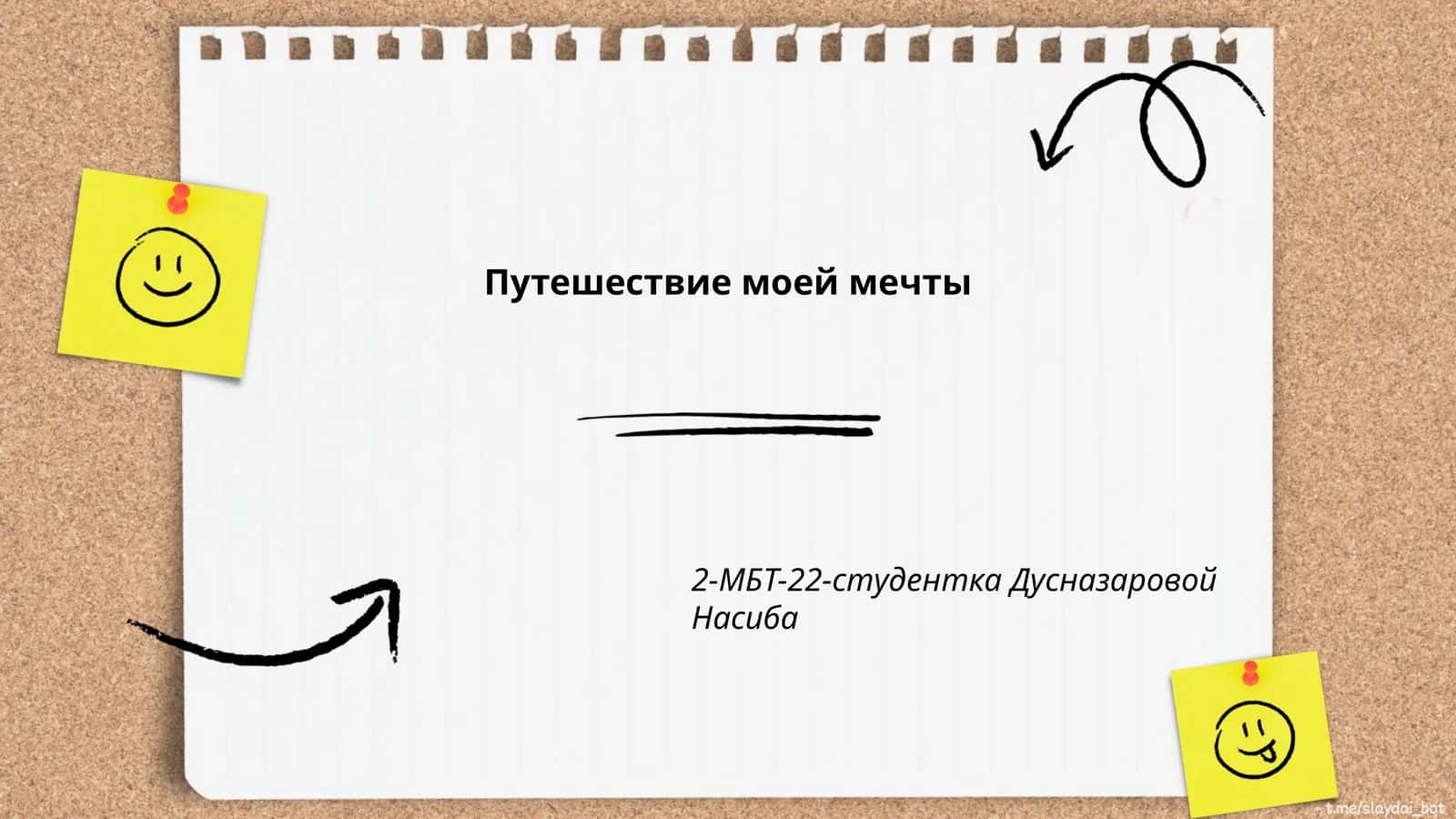 Путешествие моей мечты 1