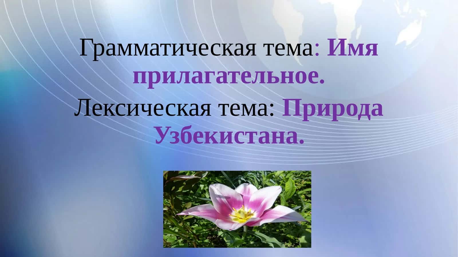 Имя прилагательное 1