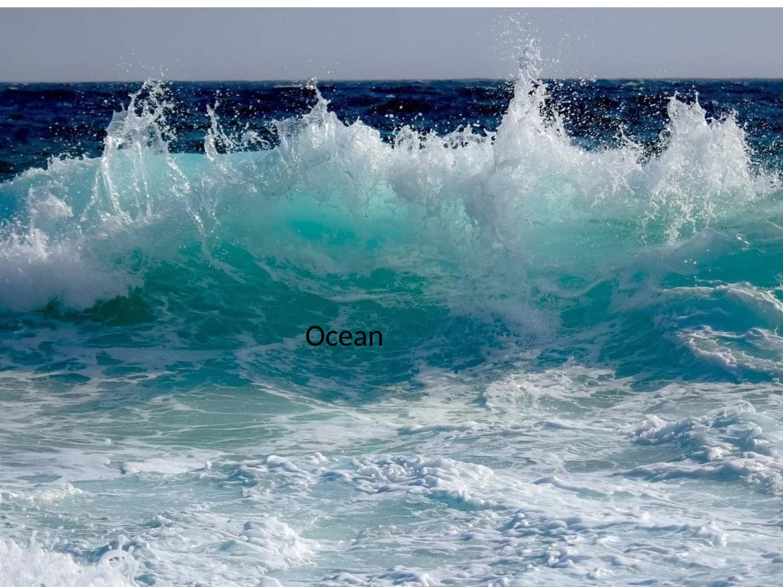 Ocean 1