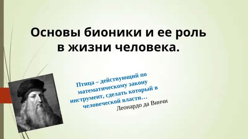 Основы бионики и ее роль в жизни человека 1
