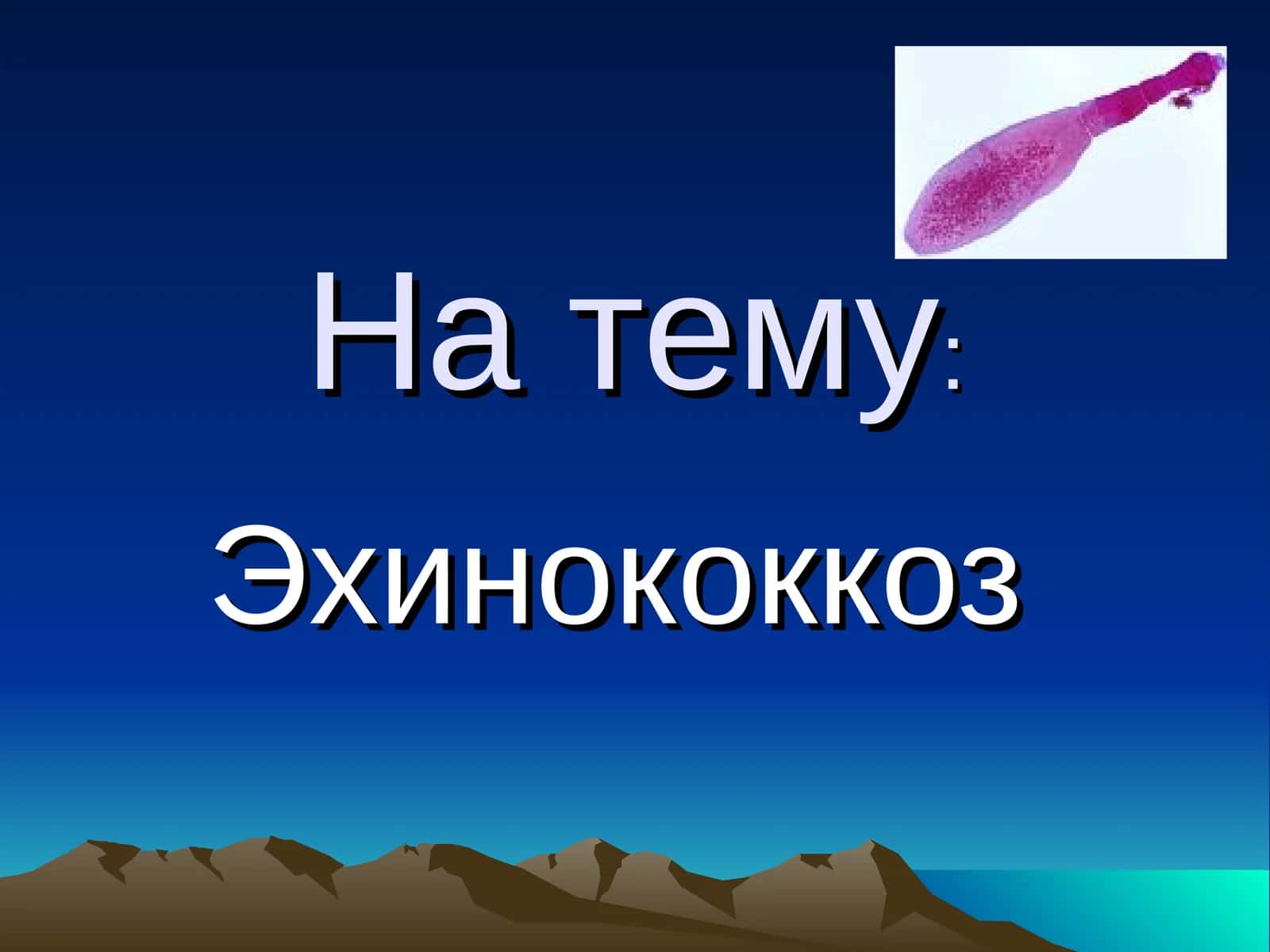 Эхинококкоз 1