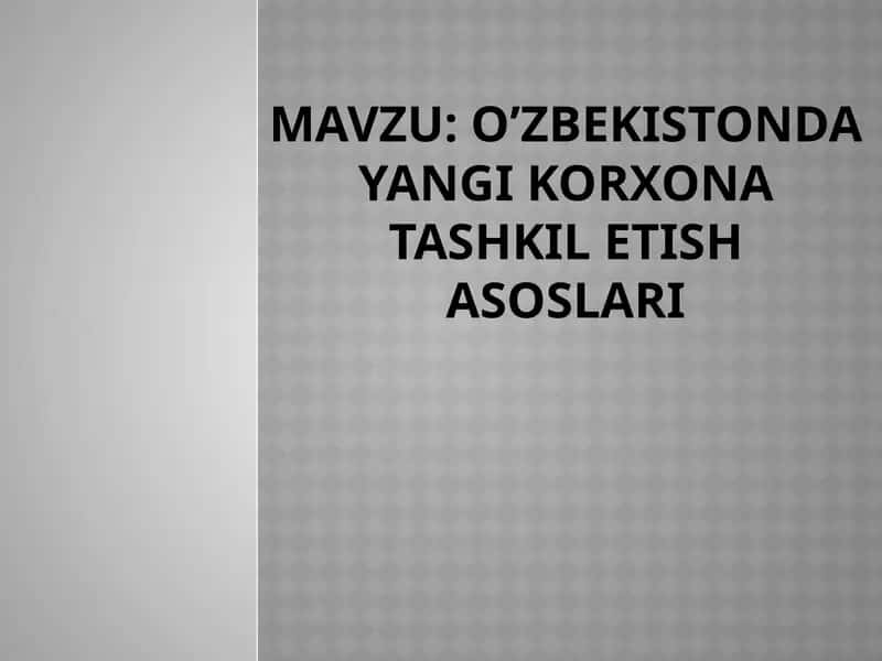 O’zbekistonda yangi korxona tashkil etish asoslari 1