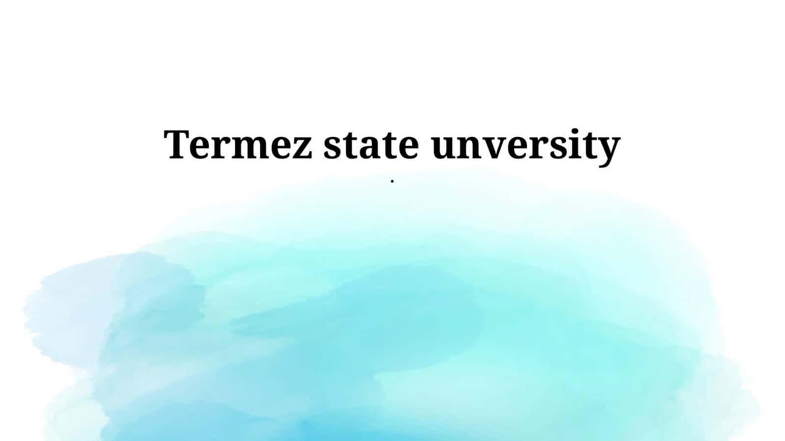 Termez State University 1