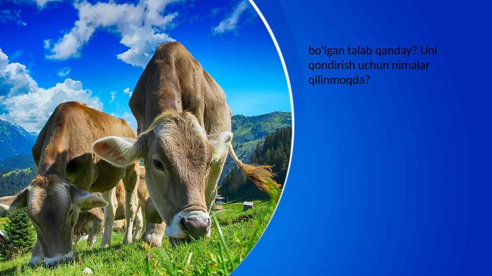 Qishloqxo‘jaligining chorvachilik tarmog‘i 1